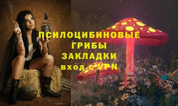 МДПВ Балахна