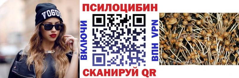 Галлюциногенные грибы ЛСД Купить Болохово